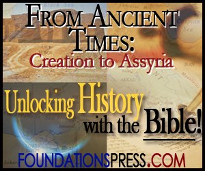 history1-300x250.jpg Foundations of World History Year 1 300x250